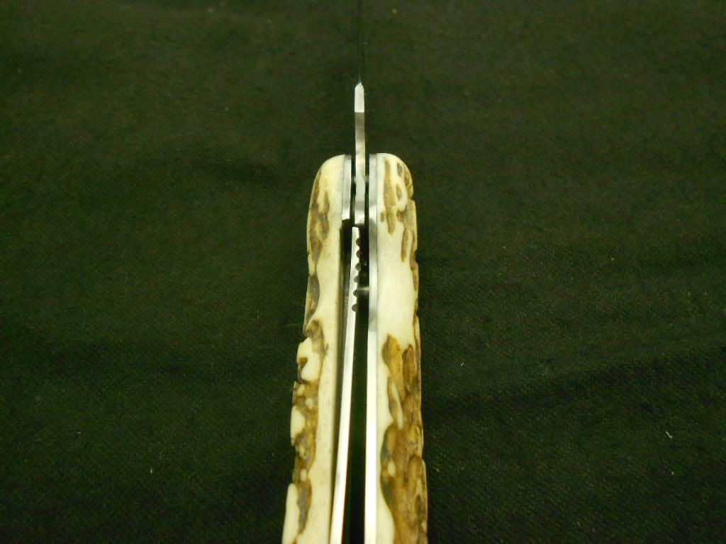 stagandmiseryfolder031.jpg