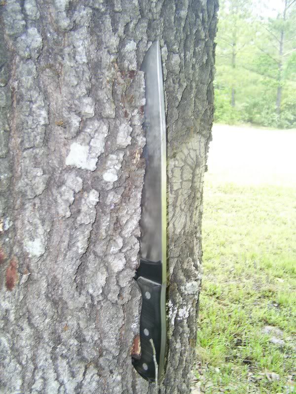 ebaypics555.jpg