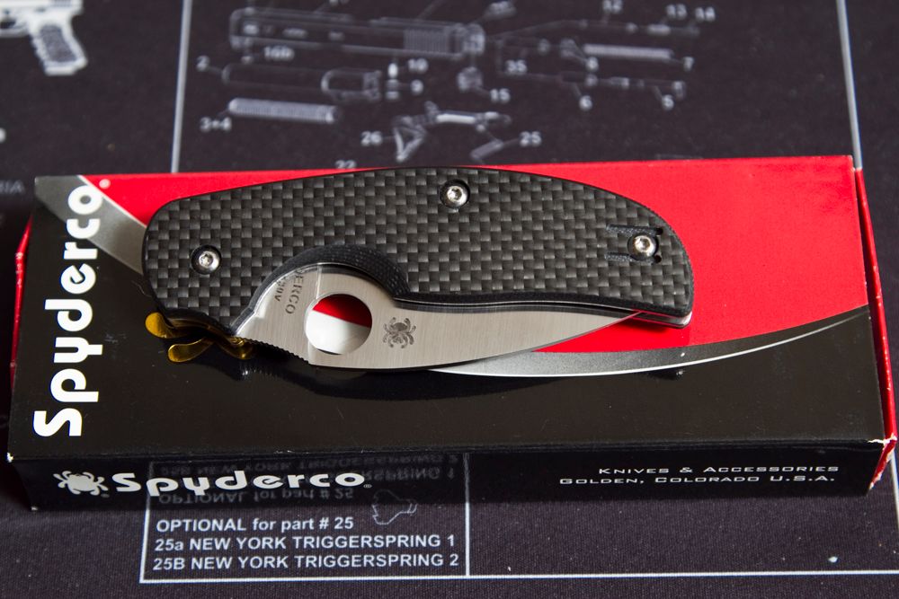 SPYDERCOSAGE1.jpg