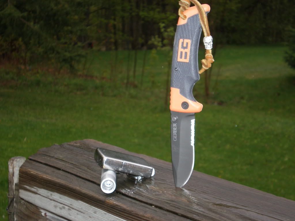 gerber001.jpg