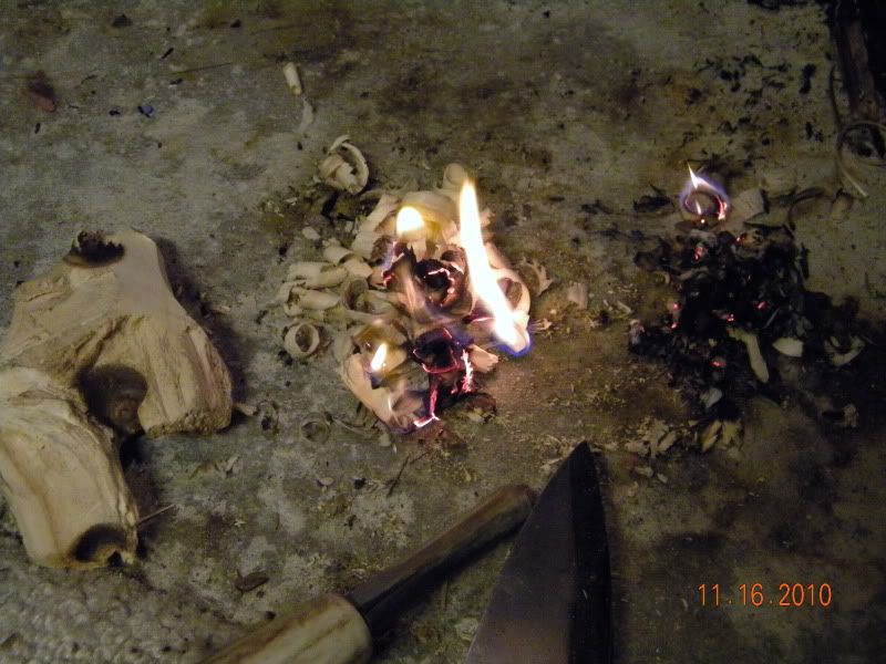 DSCN3105.jpg