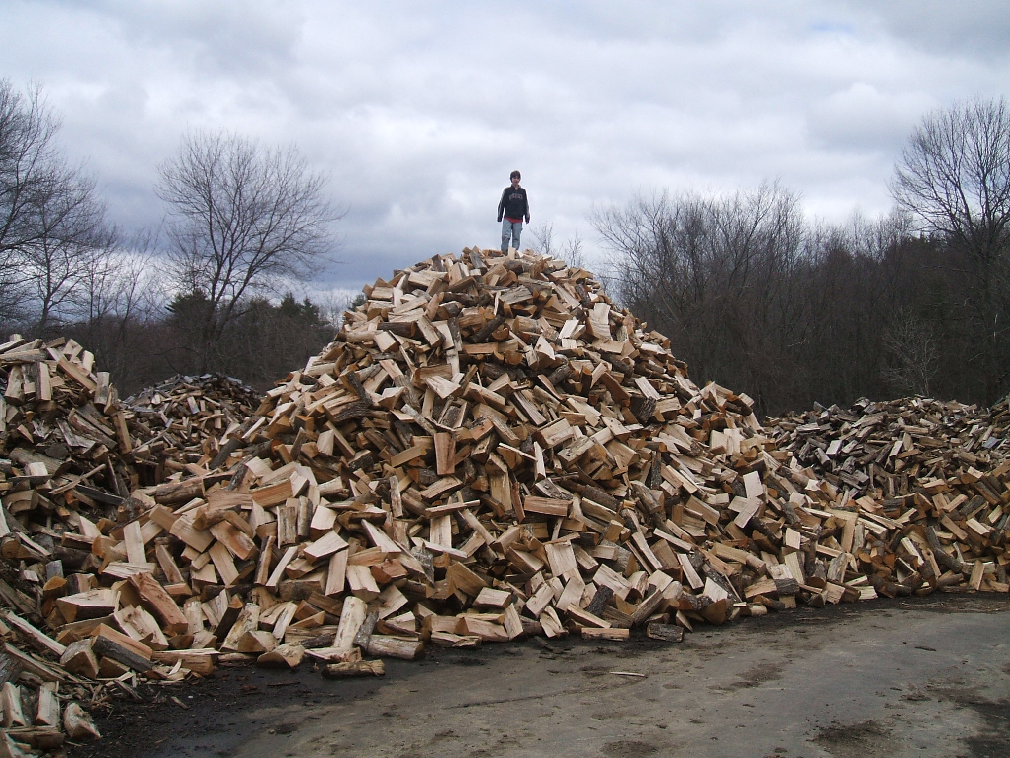 wood_pile12.jpg