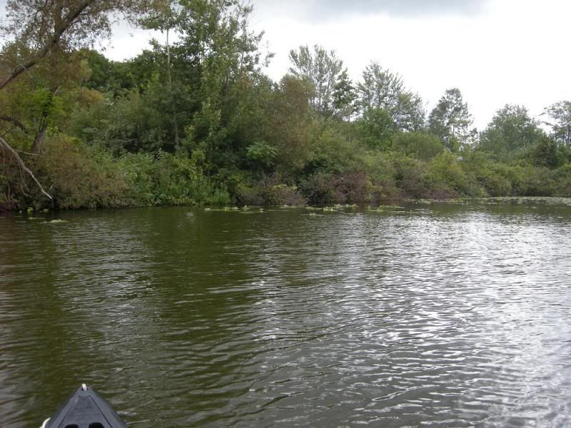 DSCN1326.jpg