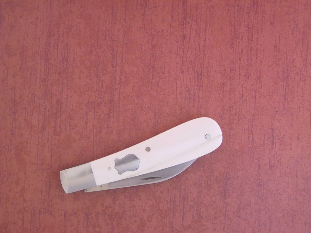 IvorySwayBack013.jpg