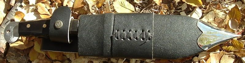 DSCF0055b.jpg