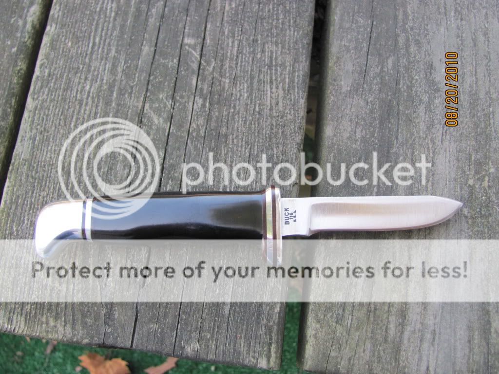 Picture001.jpg