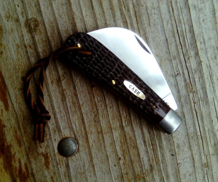CaseHawkbillPruner_zps71e8f472.jpg