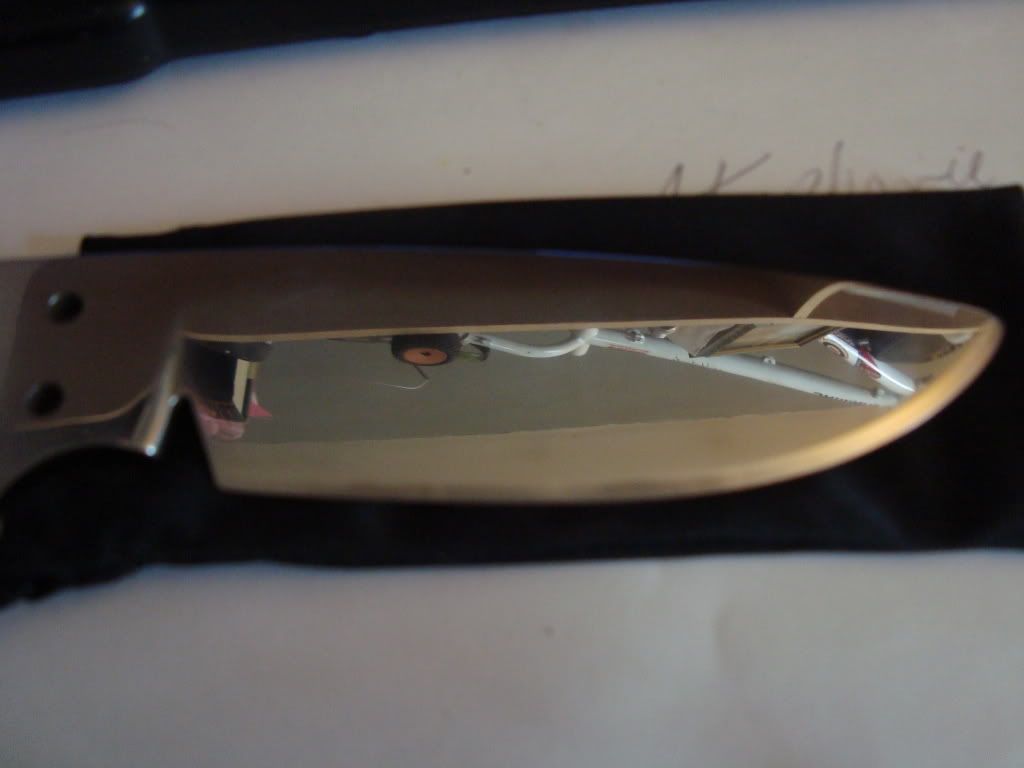DSC01002.jpg