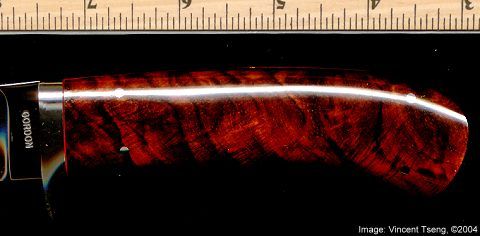 GordonCocobolo2.jpg