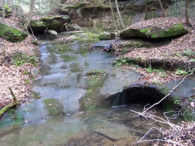 100_2915-1.jpg