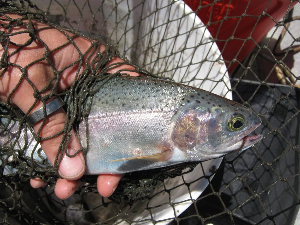 07-08-2010016.jpg