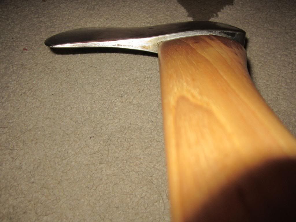 Picture-184.jpg
