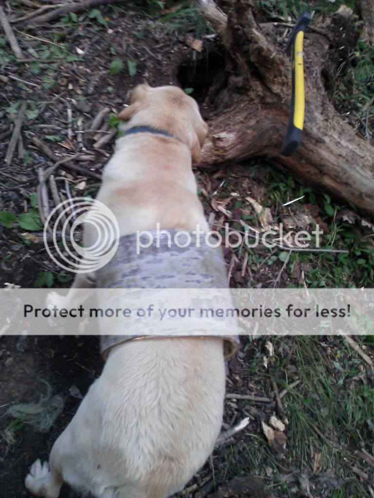 CAM00200_zpsfbc78fd5.jpg