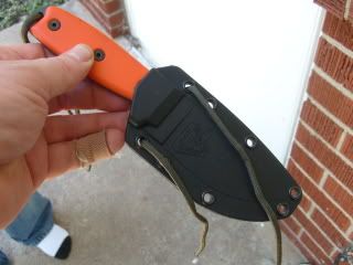 S7300915.jpg