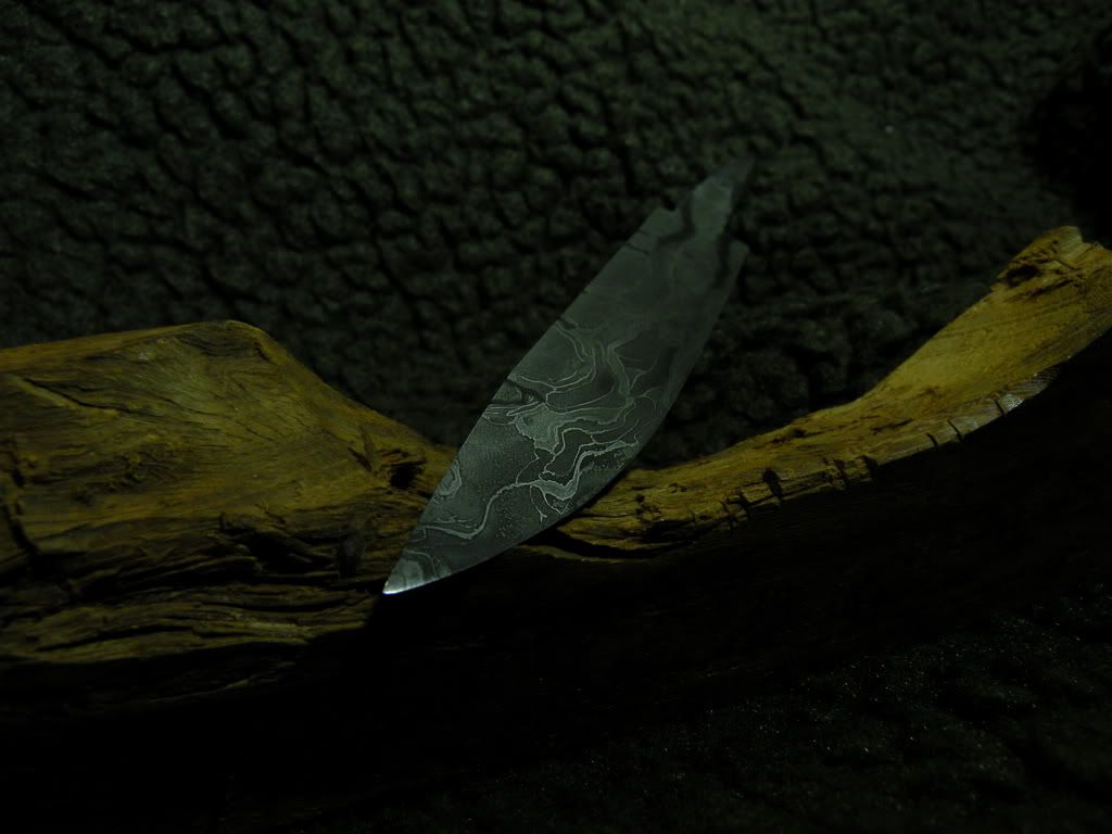 DSCN8870_.jpg