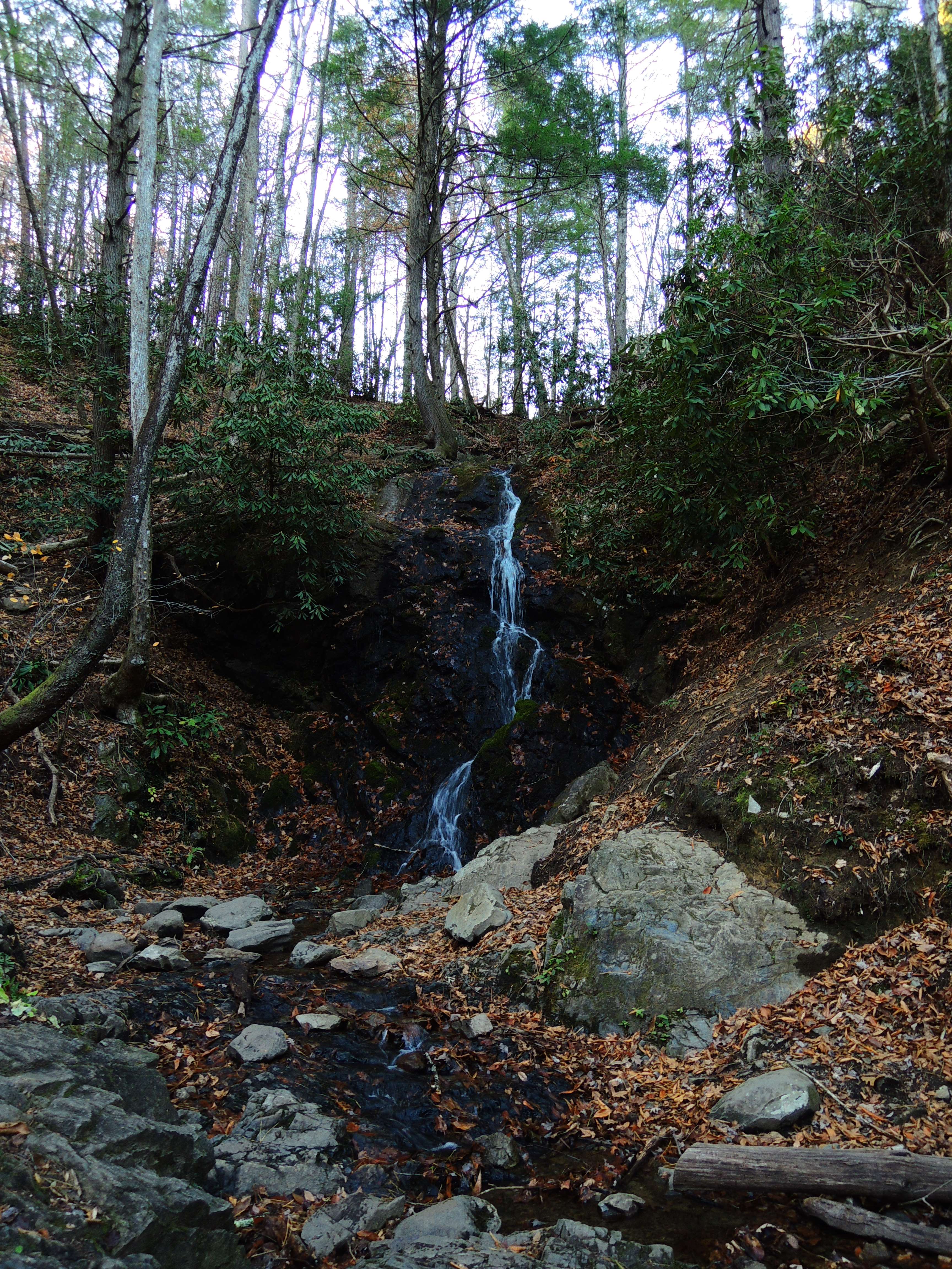 dscn3222z.jpg
