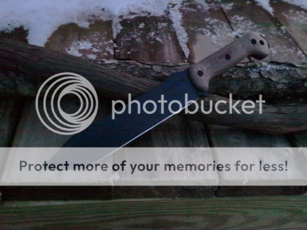 2012-03-10183055.jpg