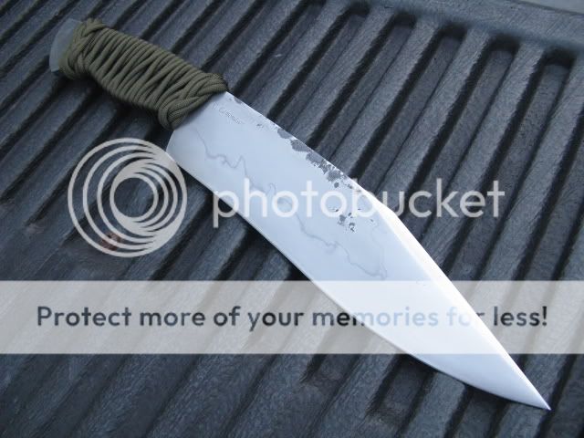 junglebowie009.jpg
