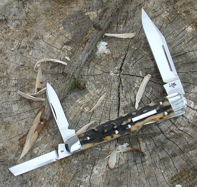 tbosestaglbwhittler7.jpg