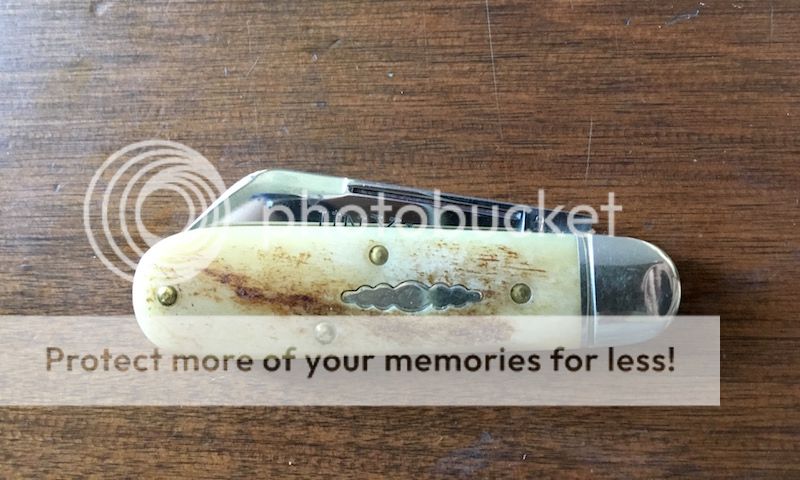 IMG_6368.jpg~original