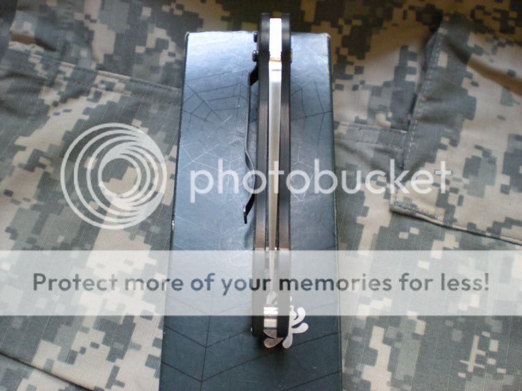 PictureorVideo087.jpg