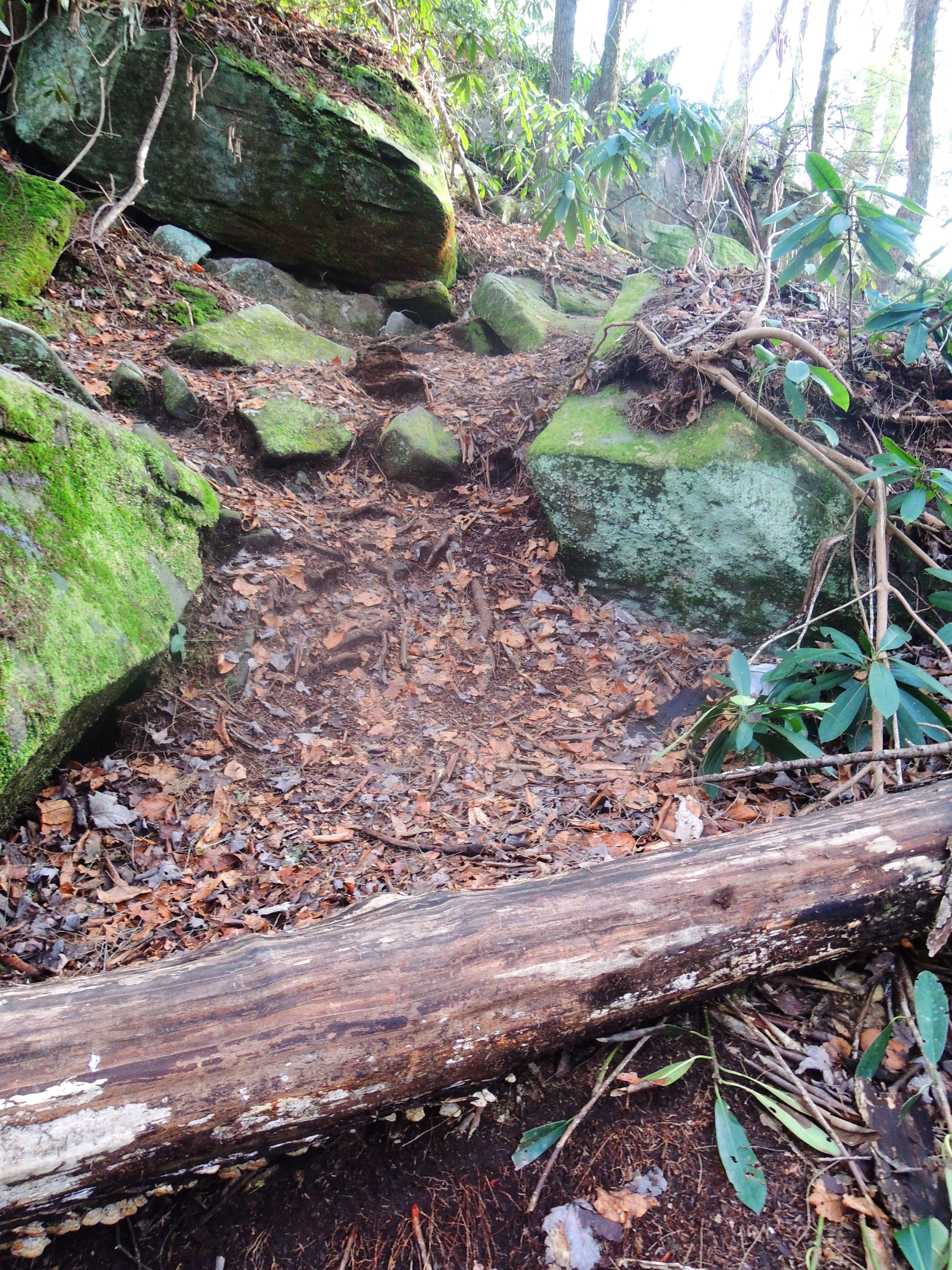 dscn5119h.jpg