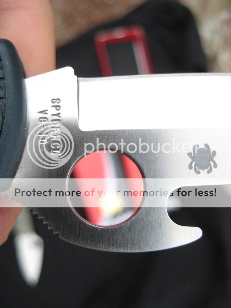 BIllpics687.jpg