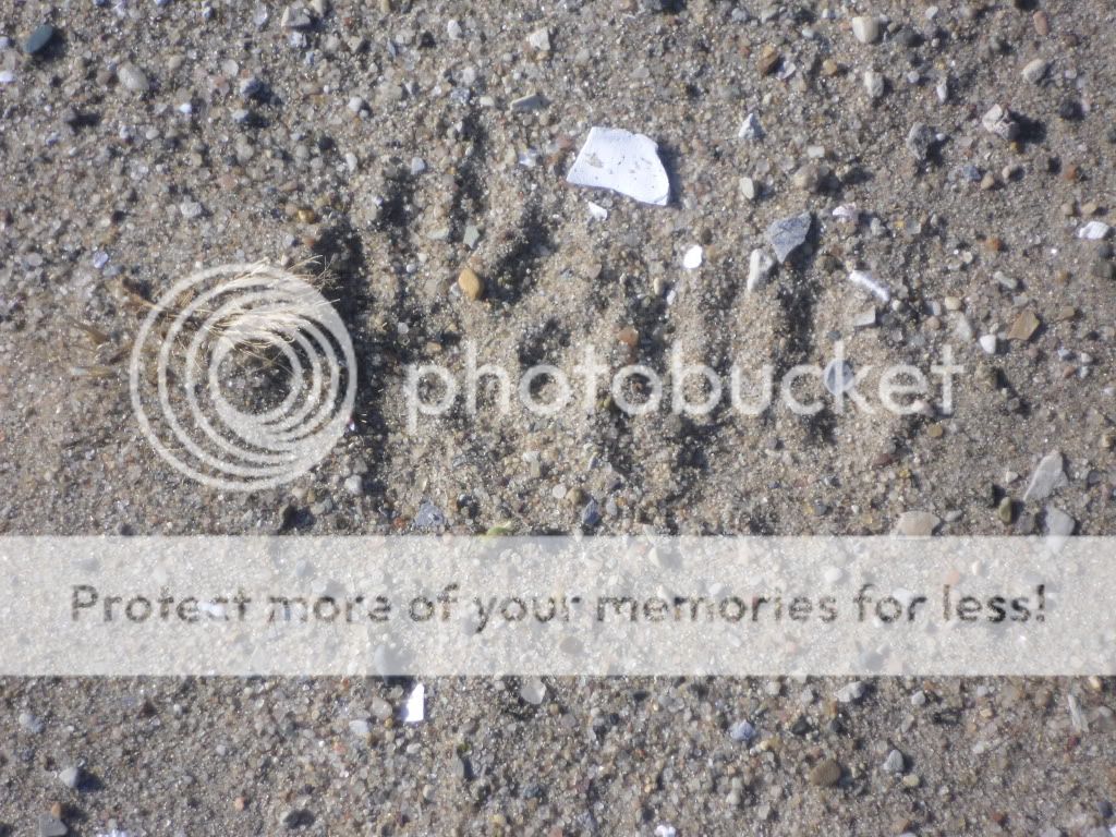 PICT0017-27.jpg