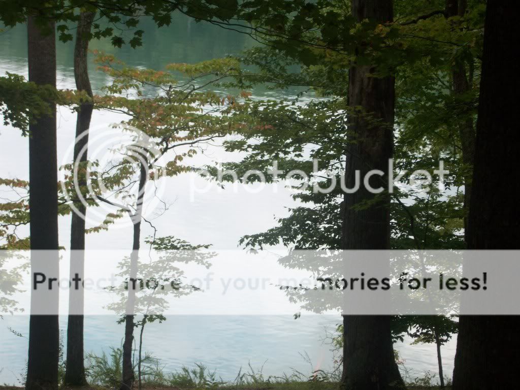 100_5071.jpg