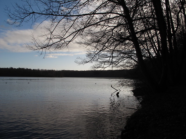 6501397153_f3ca6b9ed8_z.jpg