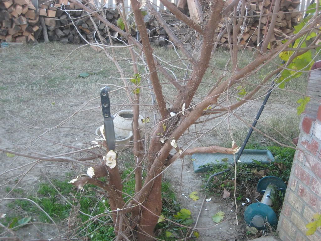 IMG_7592.jpg