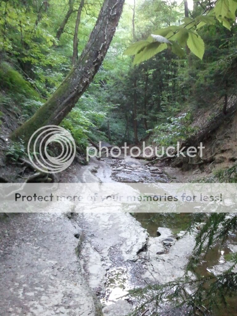 2012-07-24191838.jpg