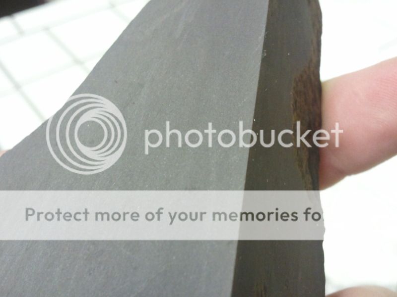 2012-10-10222905.jpg