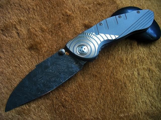 elishewitz009.jpg