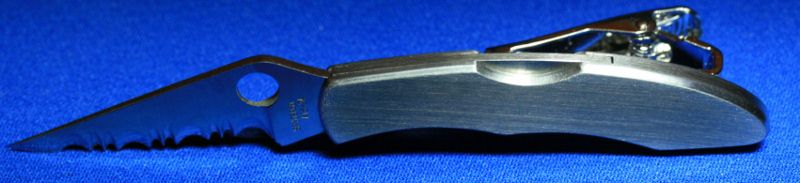 PClip.jpg