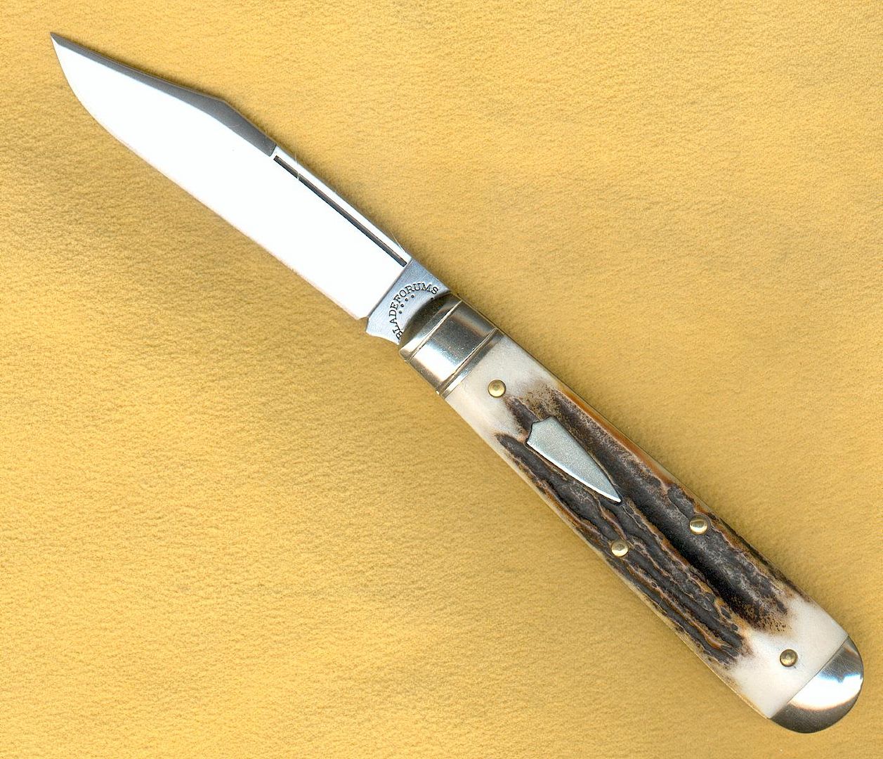 BFuser1_zpsb03d1f45.jpg