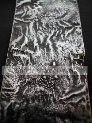 Reticulatedsilver010a.jpg