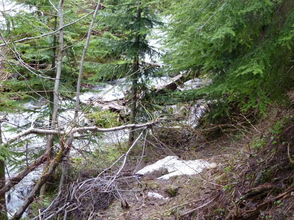 P1000206.jpg