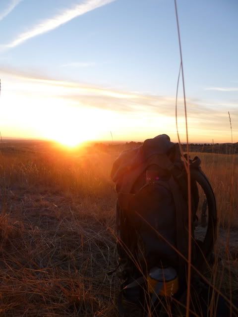 P1010314.jpg