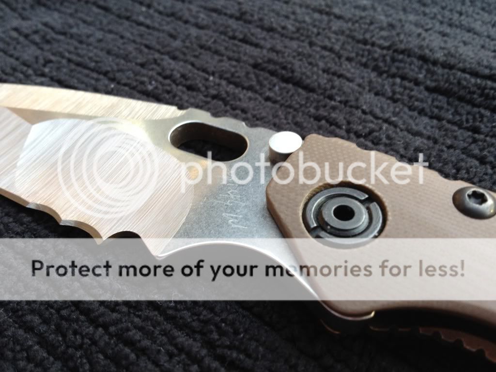 photo2-29.jpg