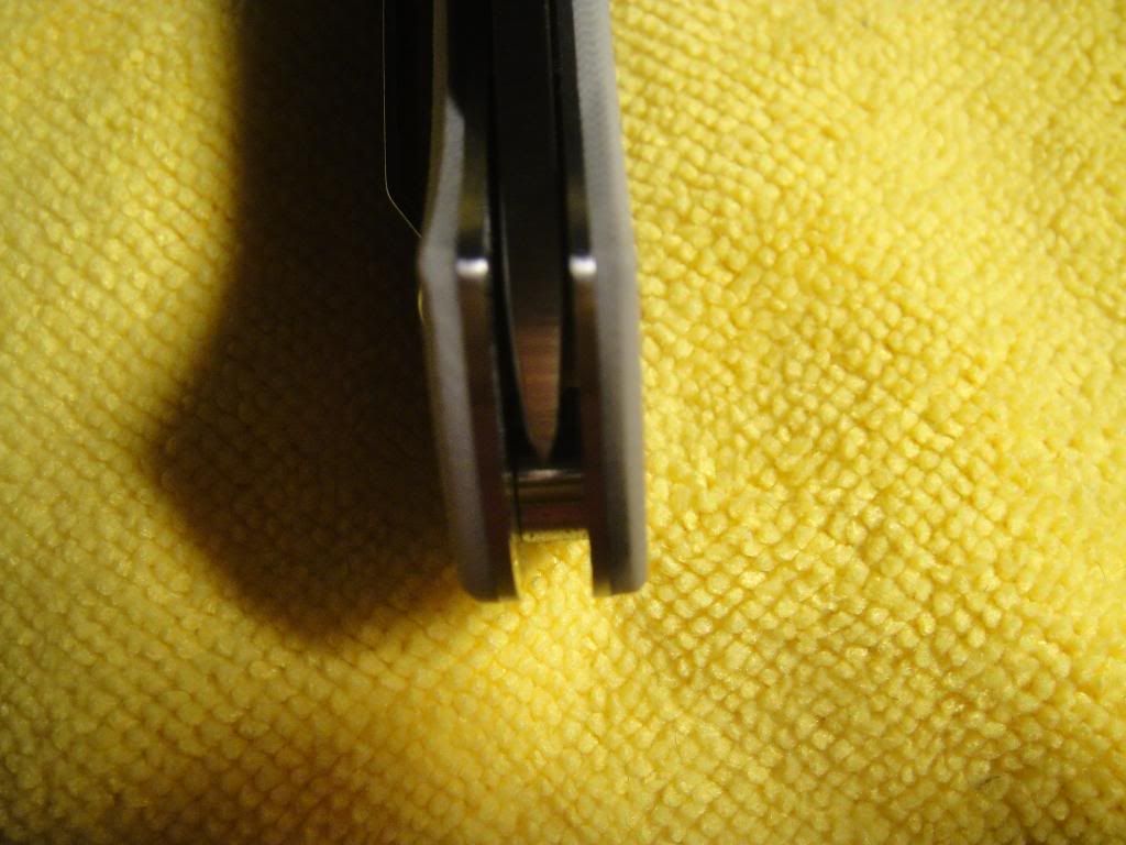 DSC00495.jpg