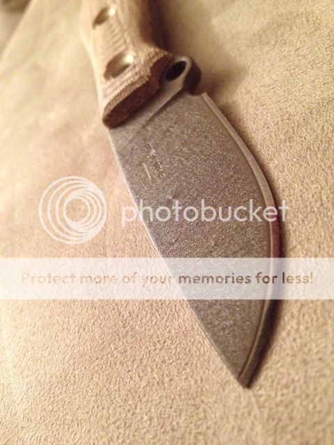 photo1-28.jpg