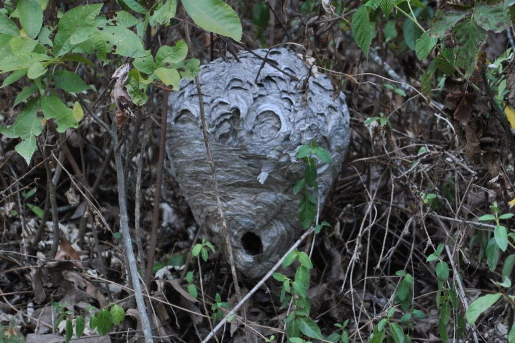 DSC_2956.jpg