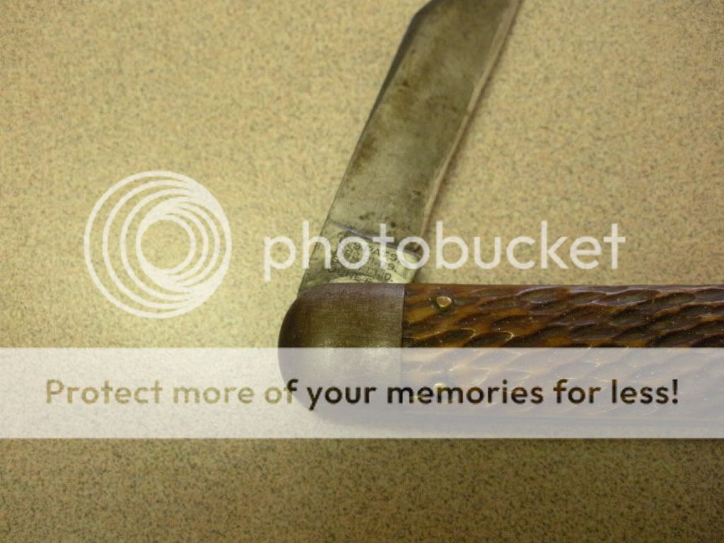 DSCN2050.jpg