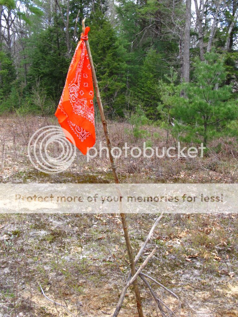 bg9.jpg