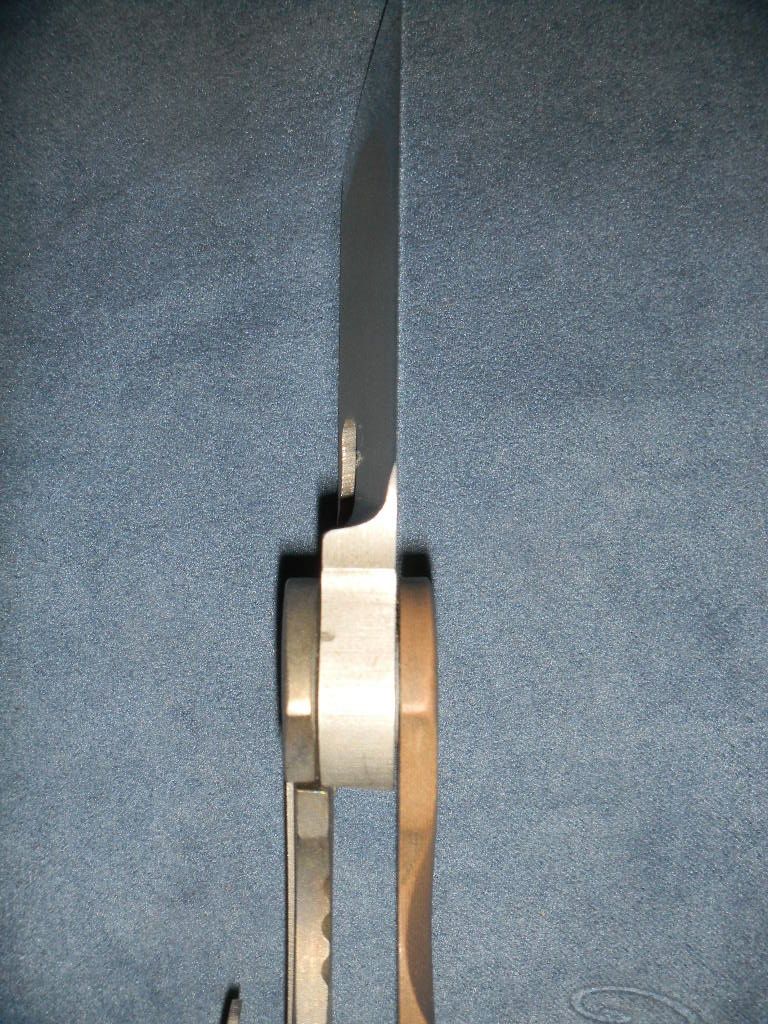 DSCN0508.jpg