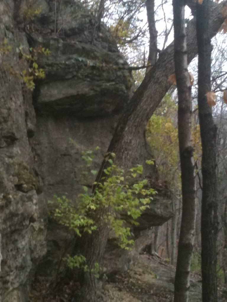 rockface.jpg