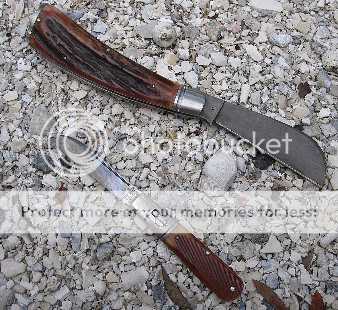 IMG_5123_zpsx3n7t7rm.jpg~original