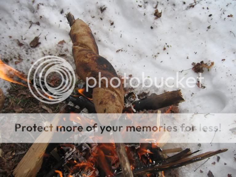 woods2094.jpg
