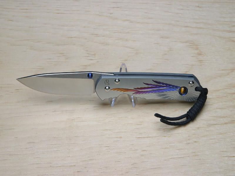 Sebbie8X6.jpg